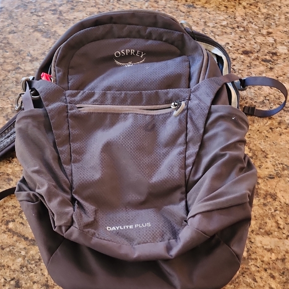 Osprey Daylite Plus Gray Backpack